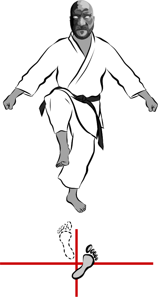 Tsuru ashi dachi (Crane Leg Stance)